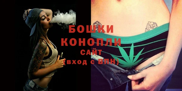 прущие грибы Бронницы