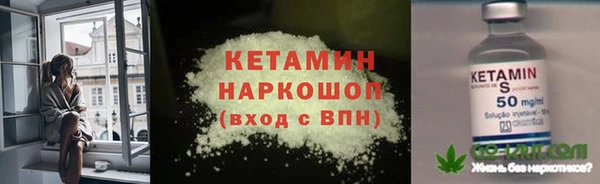 прущие грибы Бронницы