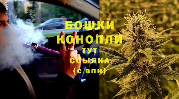прущие грибы Бронницы