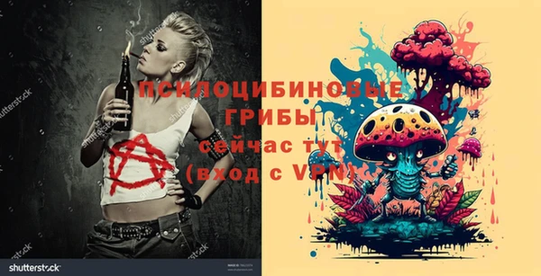 прущие грибы Бронницы