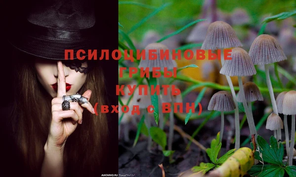 jwh Бугульма