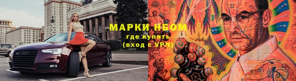 прущие грибы Бронницы