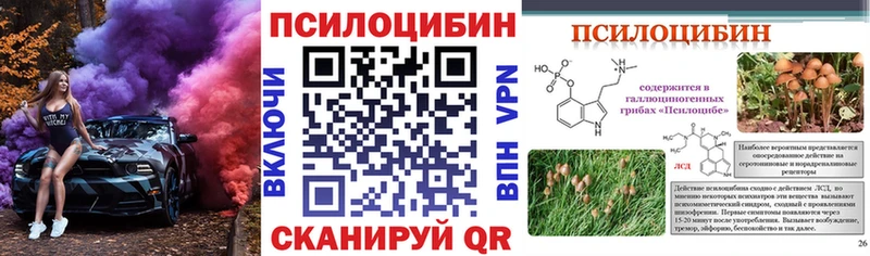 Галлюциногенные грибы MAGIC MUSHROOMS  Шенкурск 
