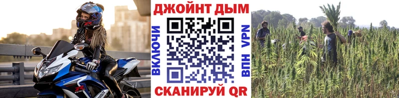 хочу наркоту  Шенкурск  Шишки марихуана индика 